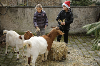 Weihnachtsmarkt 1015